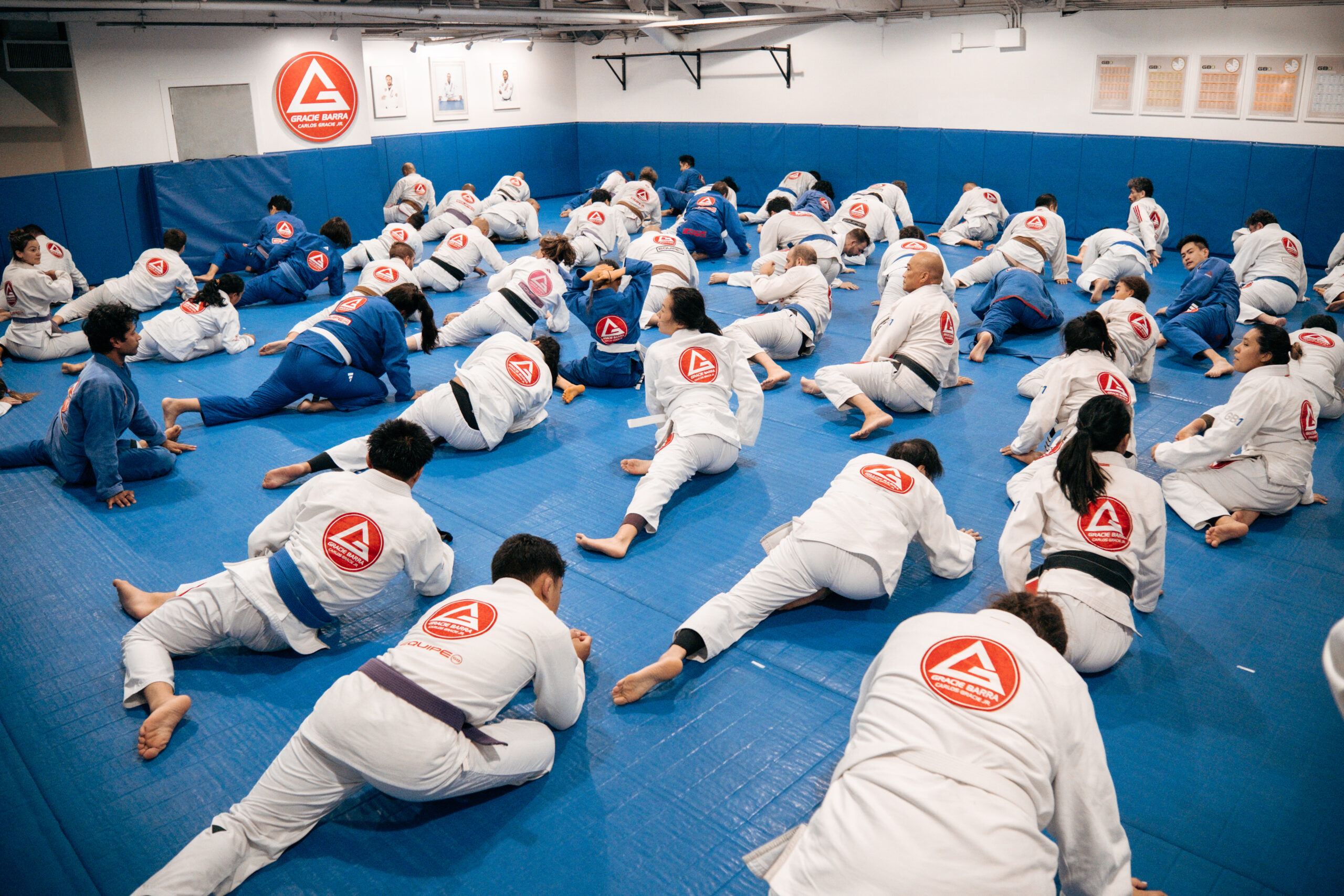 Training Jiu-Jitsu self defense
