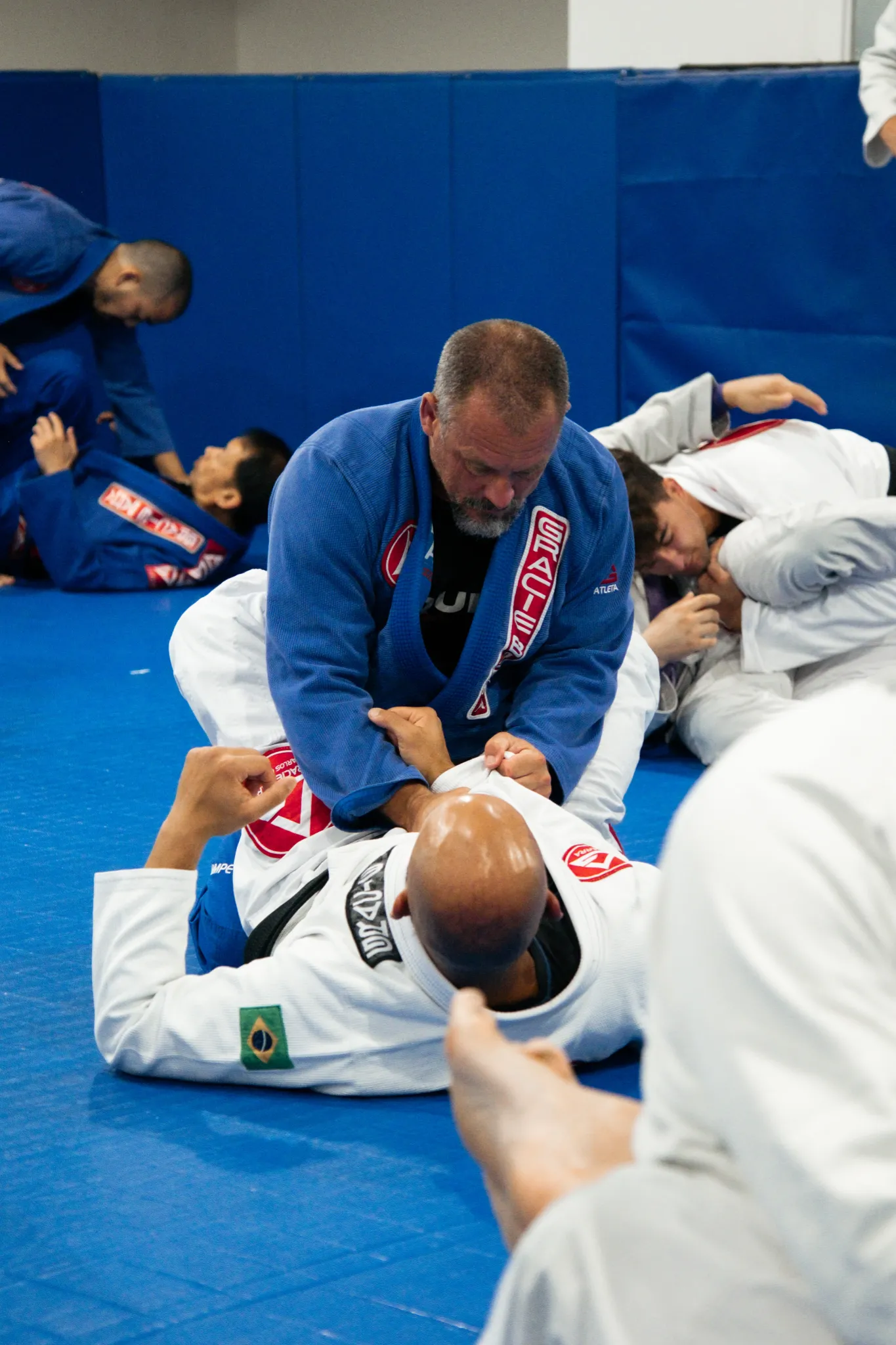GB1 all-levels Brazilian Jiu-Jitsu program