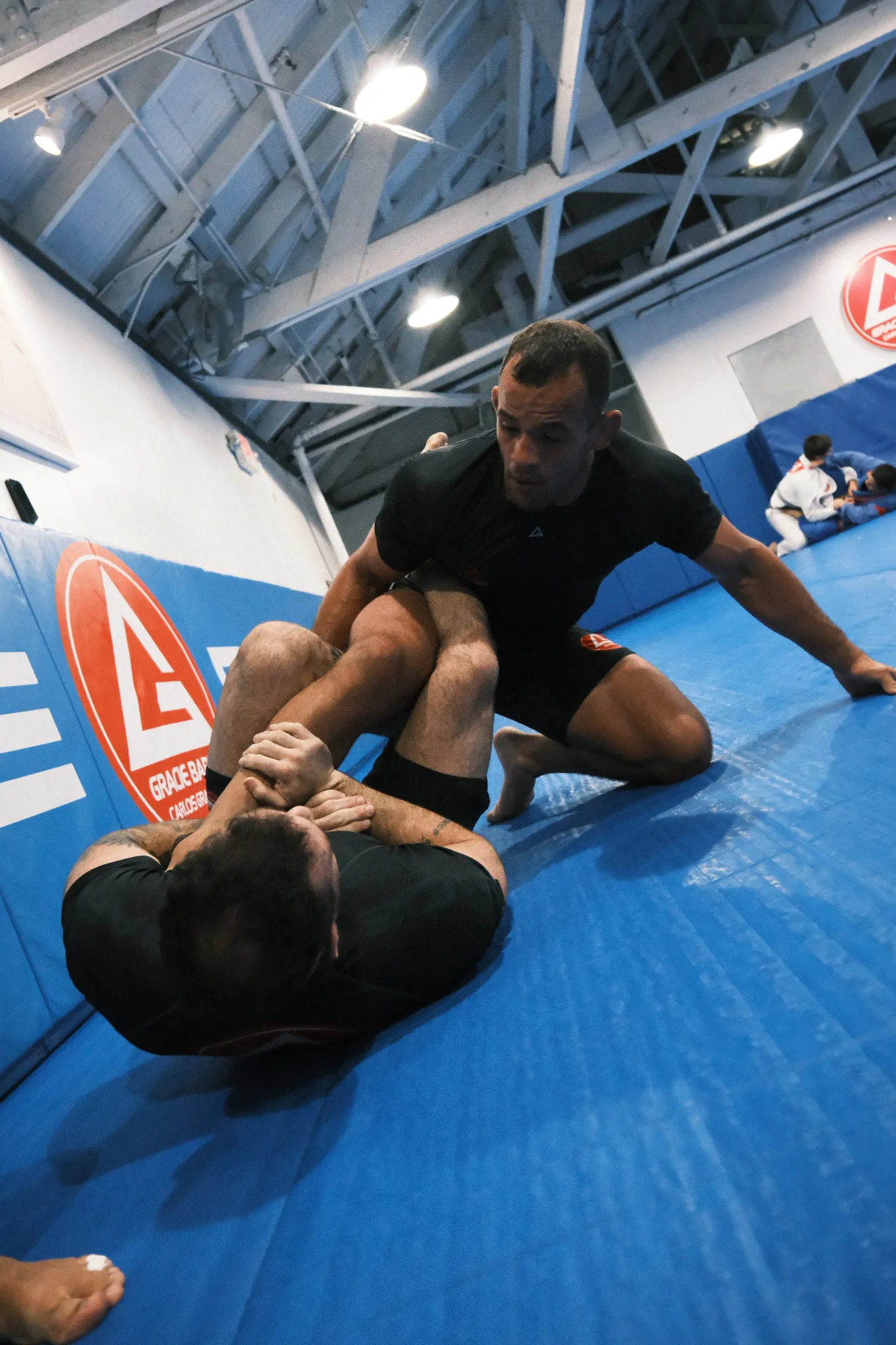 No-Gi adults Brazilian Jiu-Jitsu program